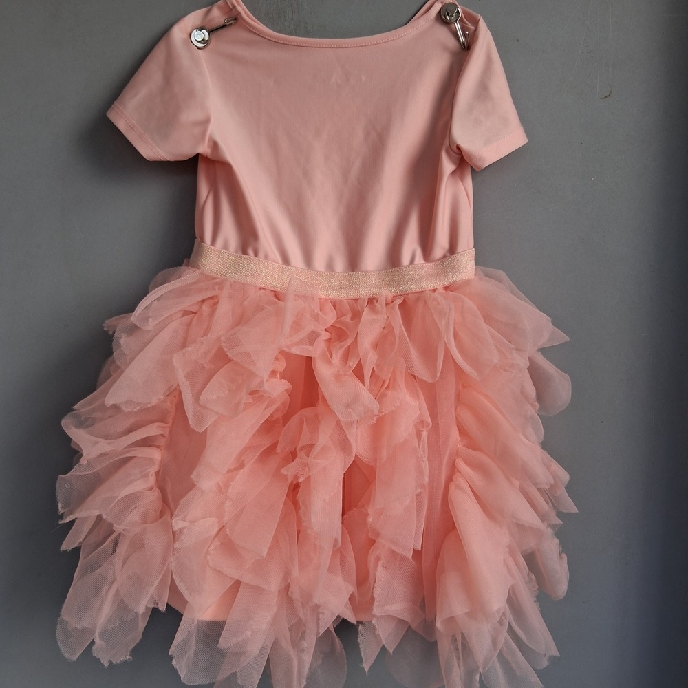 Disney Moana Pua Pink Tutu Dress Toddler Girls 3T Short Sleeve Ruffle Graphic - Picture 8 of 8